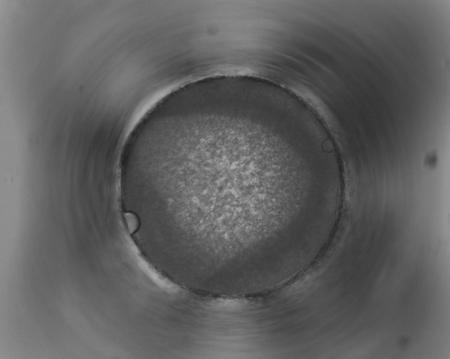 X0000112910894200909071532