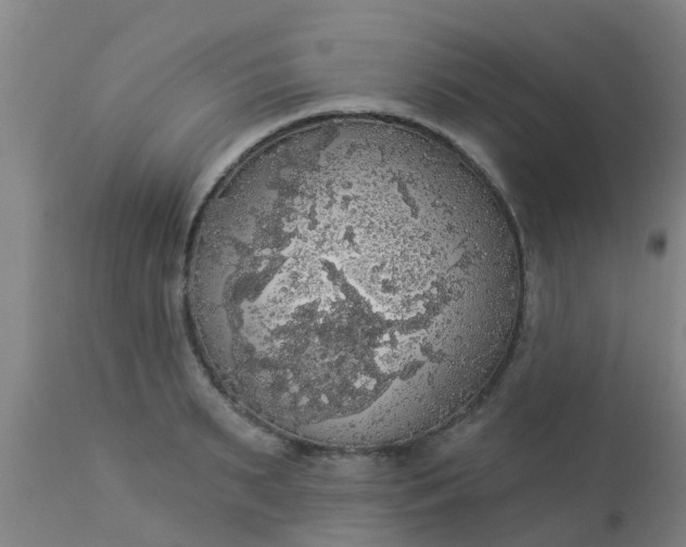 X0000112910895200909071532