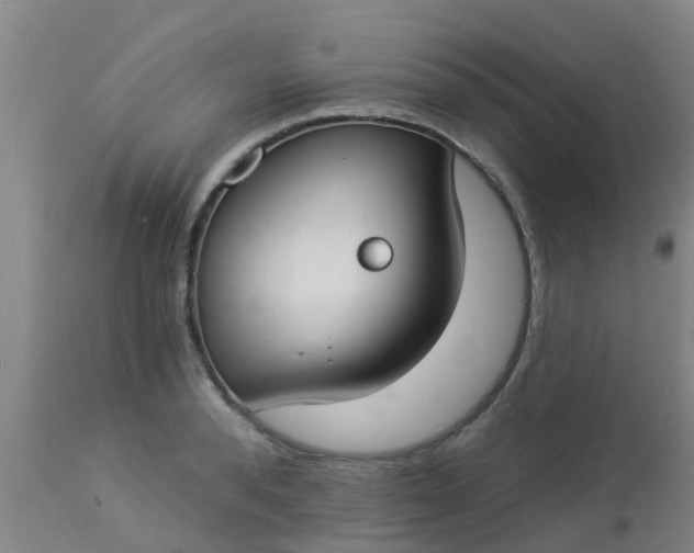 X0000112910896200909071532