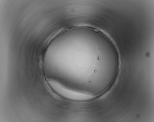 X0000112910897200909071532