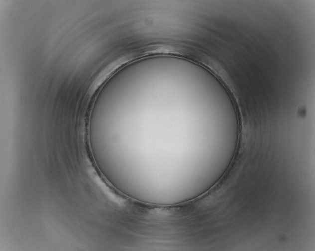 X0000112910898200909071532