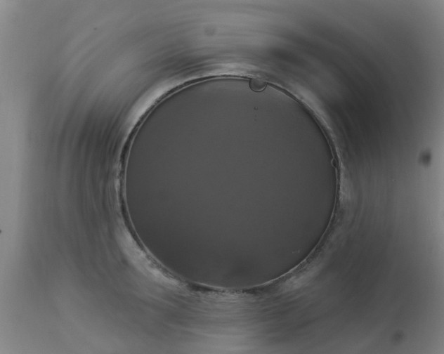 X0000112910899200909071532