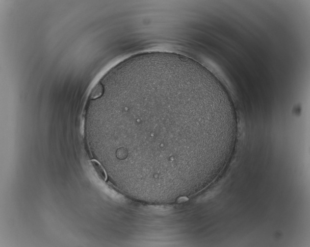 X0000112910900200909071532