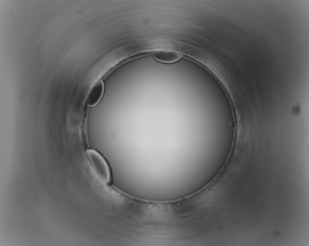 X0000112910901200909071532