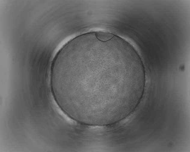 X0000112910902200909071532