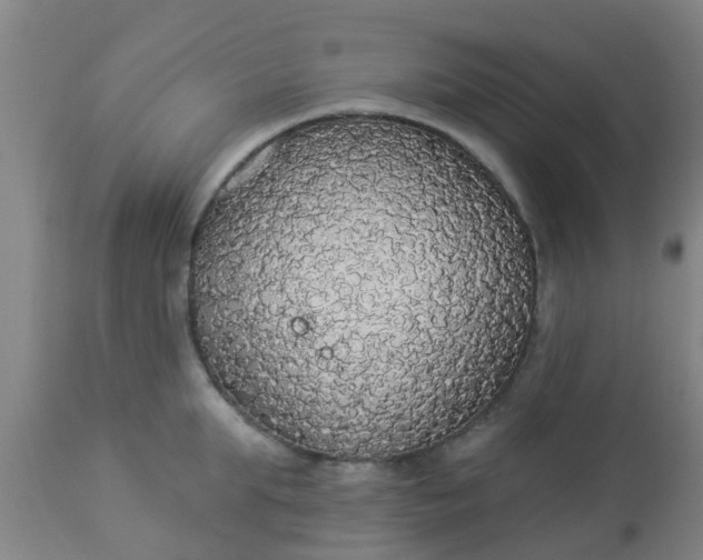 X0000112910903200909071532