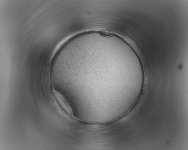 X0000112910904200909071532