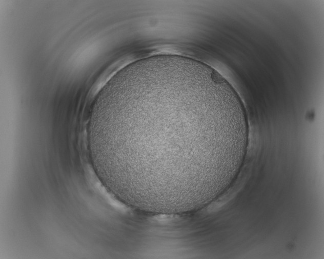 X0000112910906200909071532