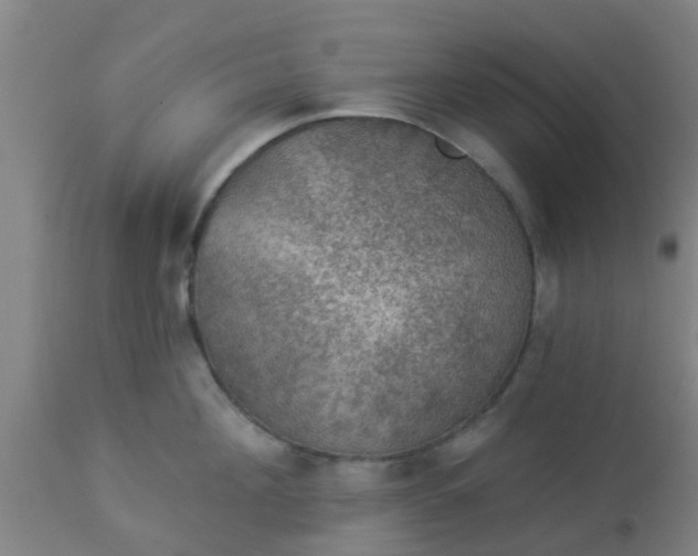 X0000112910908200909071532