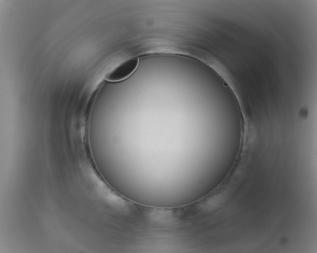 X0000112910909200909071532