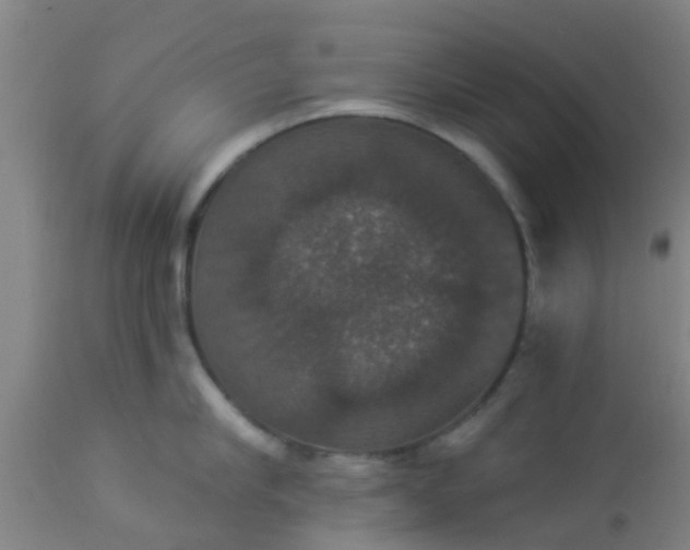 X0000112910910200909071532