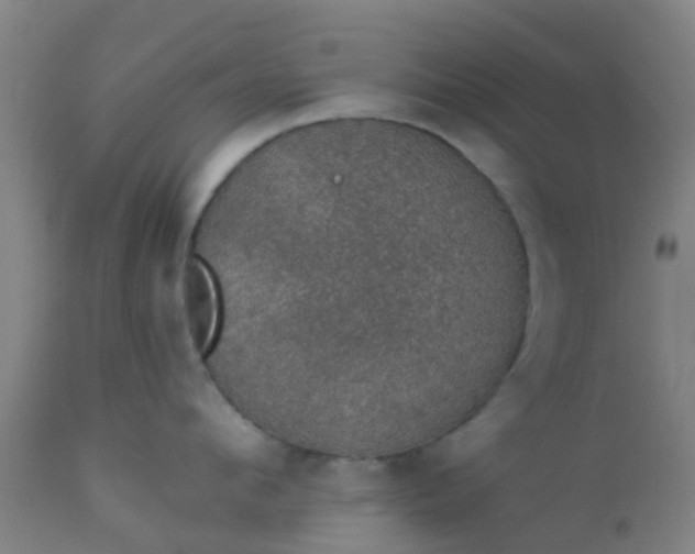 X0000112910912200909071532