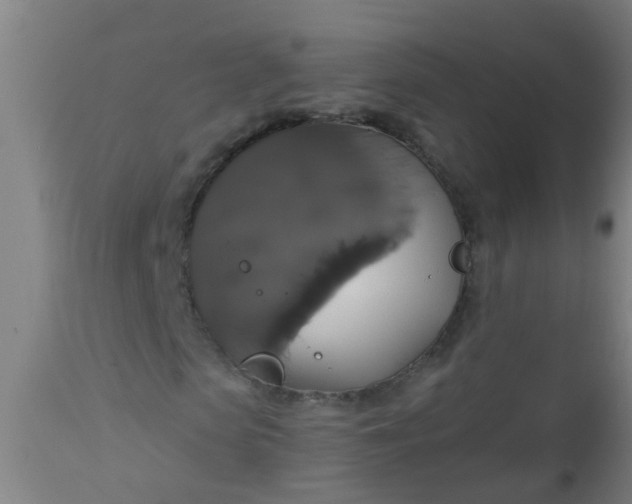 X0000112910913200909071531