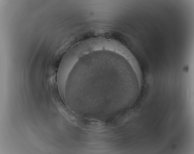 X0000112910914200909071531