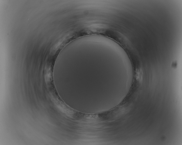 X0000112910915200909071531