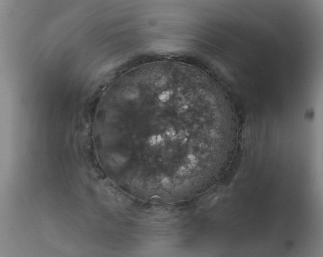 X0000112910917200909071531