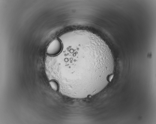 X0000112910918200909071531