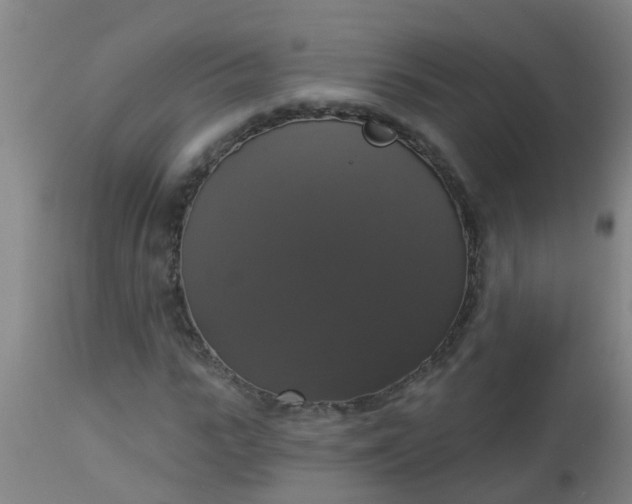 X0000112910919200909071531