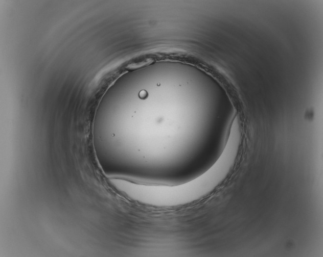 X0000112910920200909071531