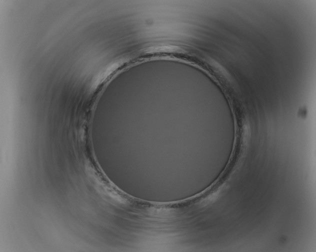 X0000112910921200909071531