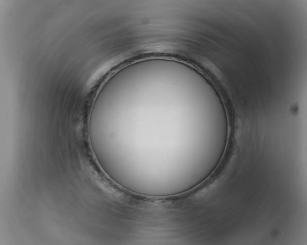 X0000112910922200909071531