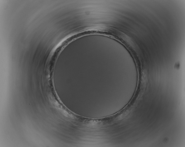 X0000112910923200909071531