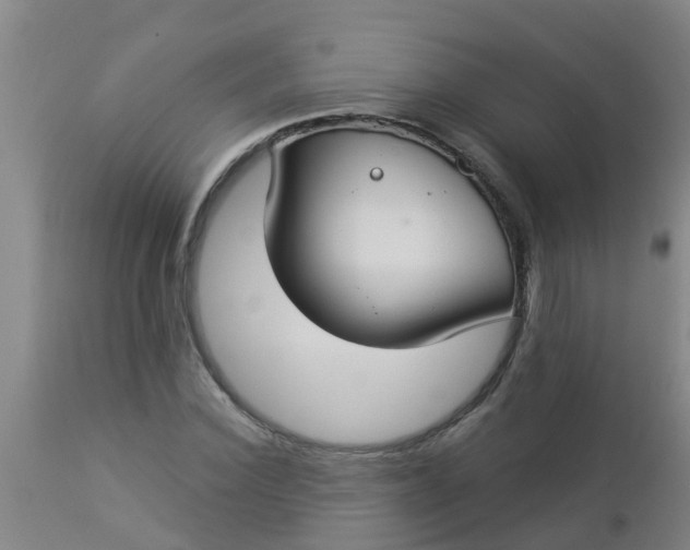 X0000112910924200909071531