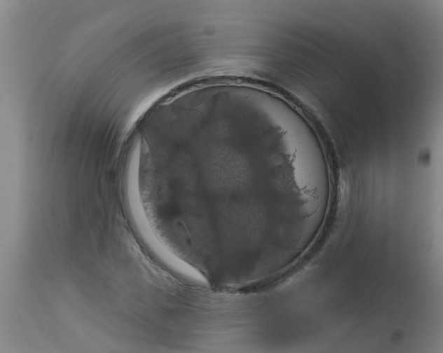 X0000112910925200909071531