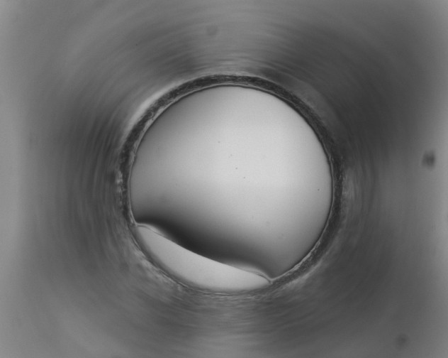 X0000112910926200909071531