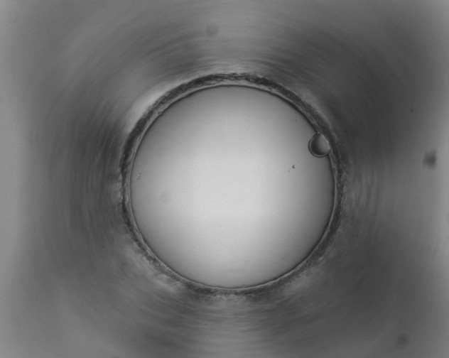 X0000112910927200909071531