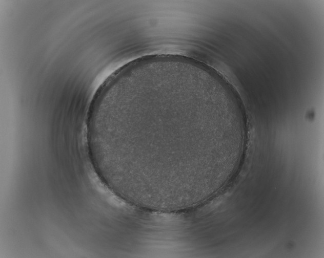 X0000112910928200909071531