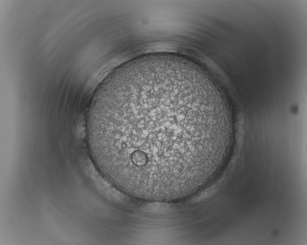 X0000112910929200909071531