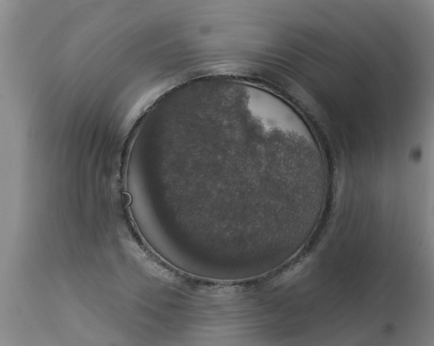 X0000112910930200909071531