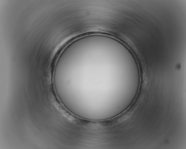 X0000112910931200909071531