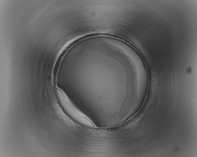 X0000112910932200909071531