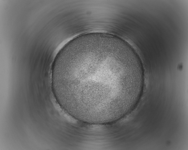 X0000112910933200909071531