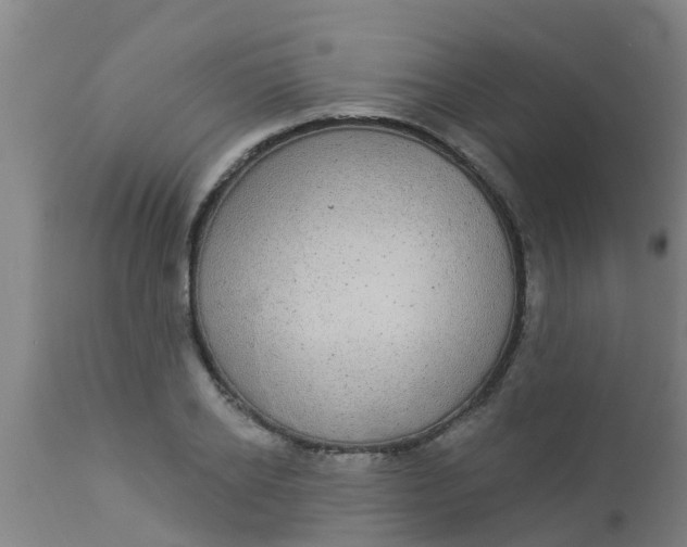 X0000112910934200909071531