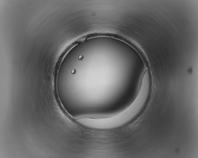 X0000112910935200909071531