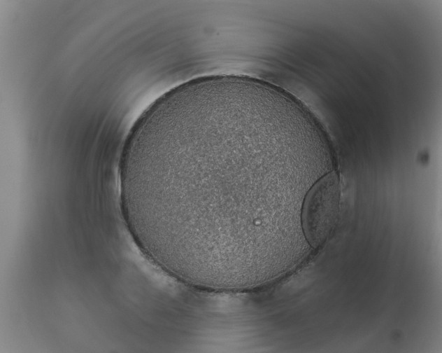 X0000112910936200909071531