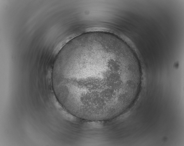 X0000112910937200909071531