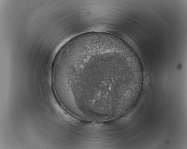 X0000112910939200909071531