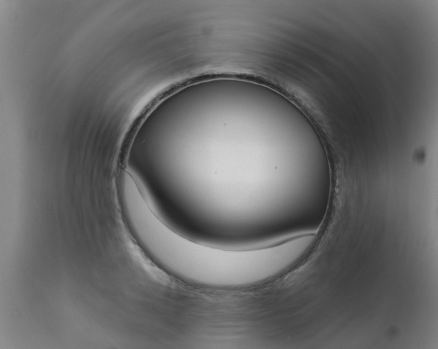 X0000112910942200909071531