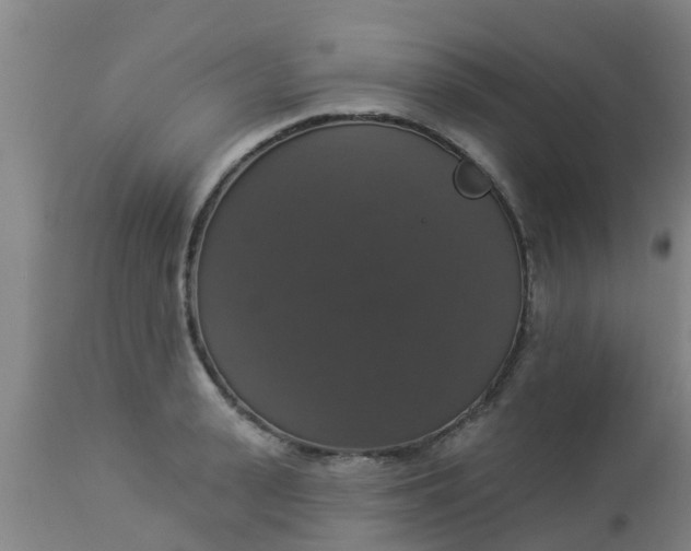 X0000112910943200909071531