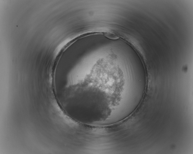 X0000112910944200909071531