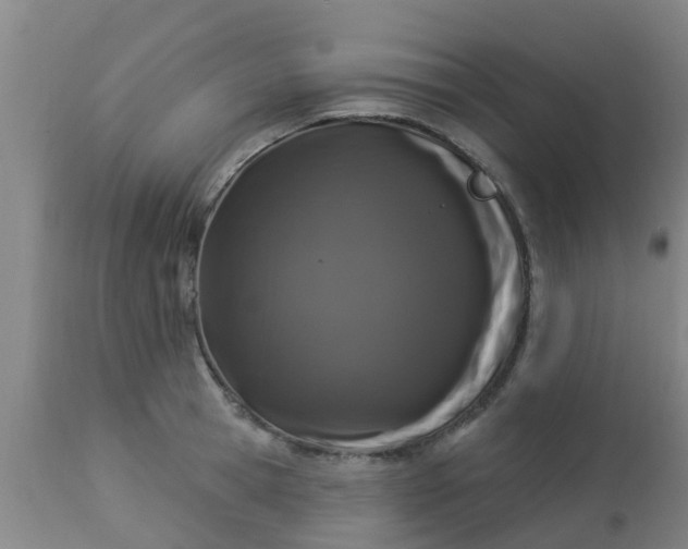 X0000112910945200909071531