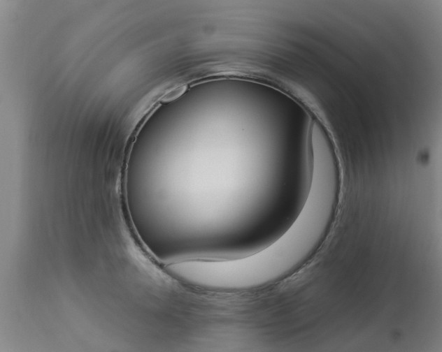 X0000112910946200909071531