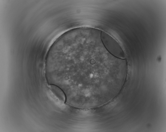 X0000112910948200909071531