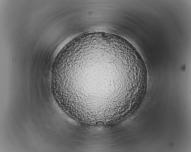 X0000112910949200909071531