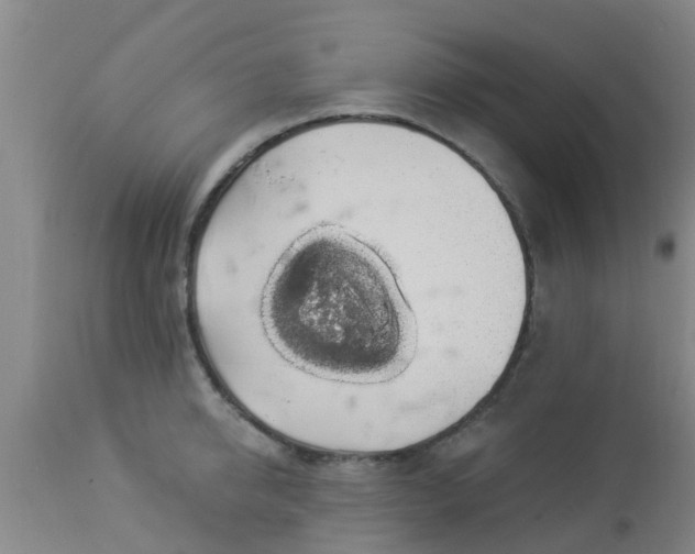 X0000112910950200909071531