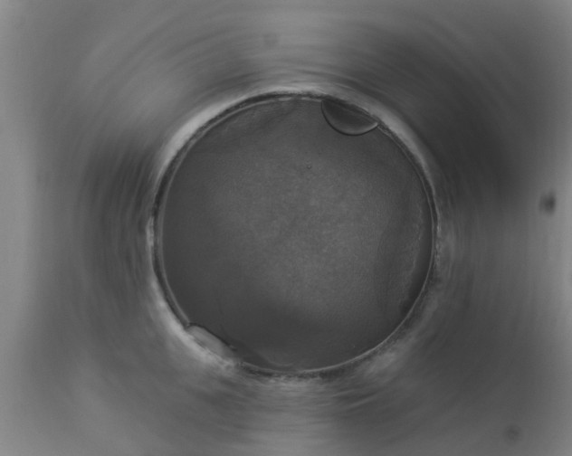 X0000112910951200909071531